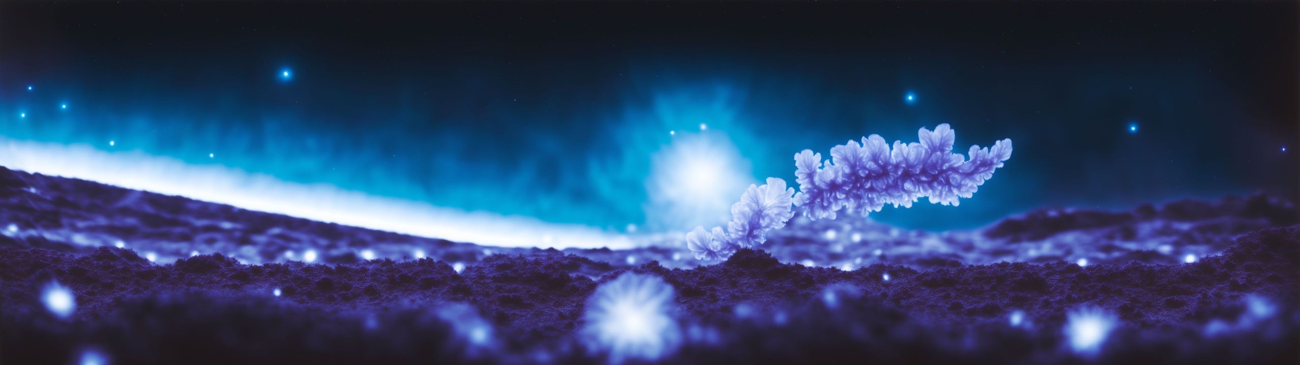 https://rehost.diberie.com/Picture/Get/f/128665