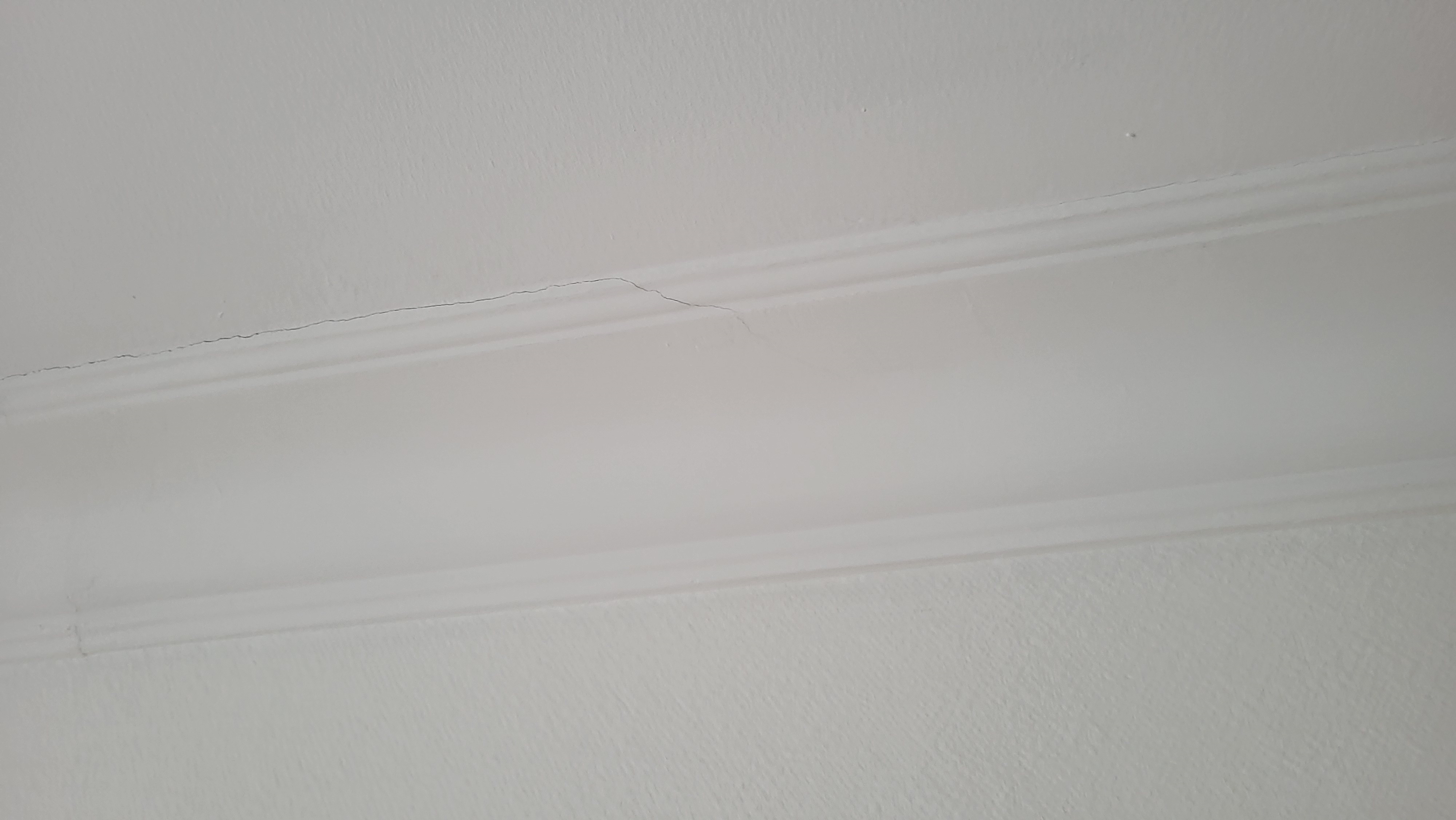 https://rehost.diberie.com/Picture/Get/f/234170