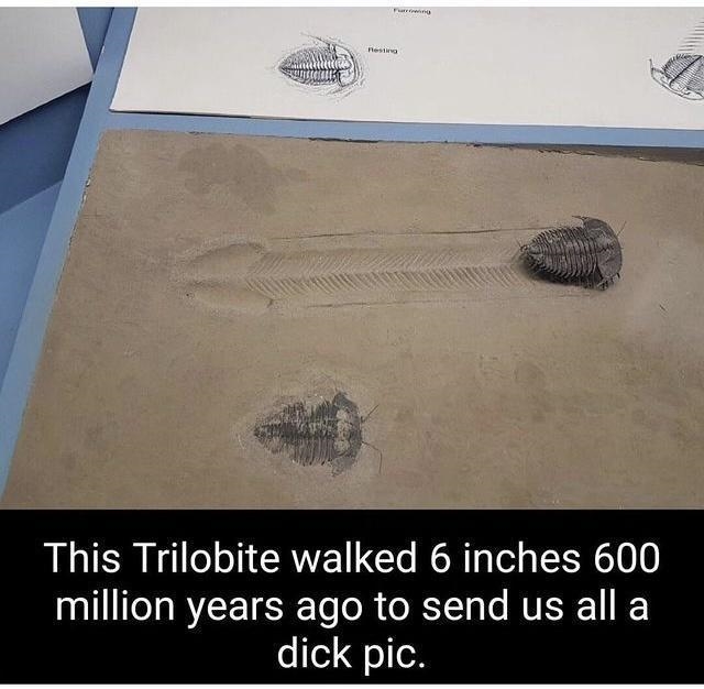 https://rehost.diberie.com/Picture/Get/f/247905
