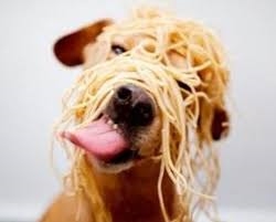https://rehost.diberie.com/Picture/Get/f/266613