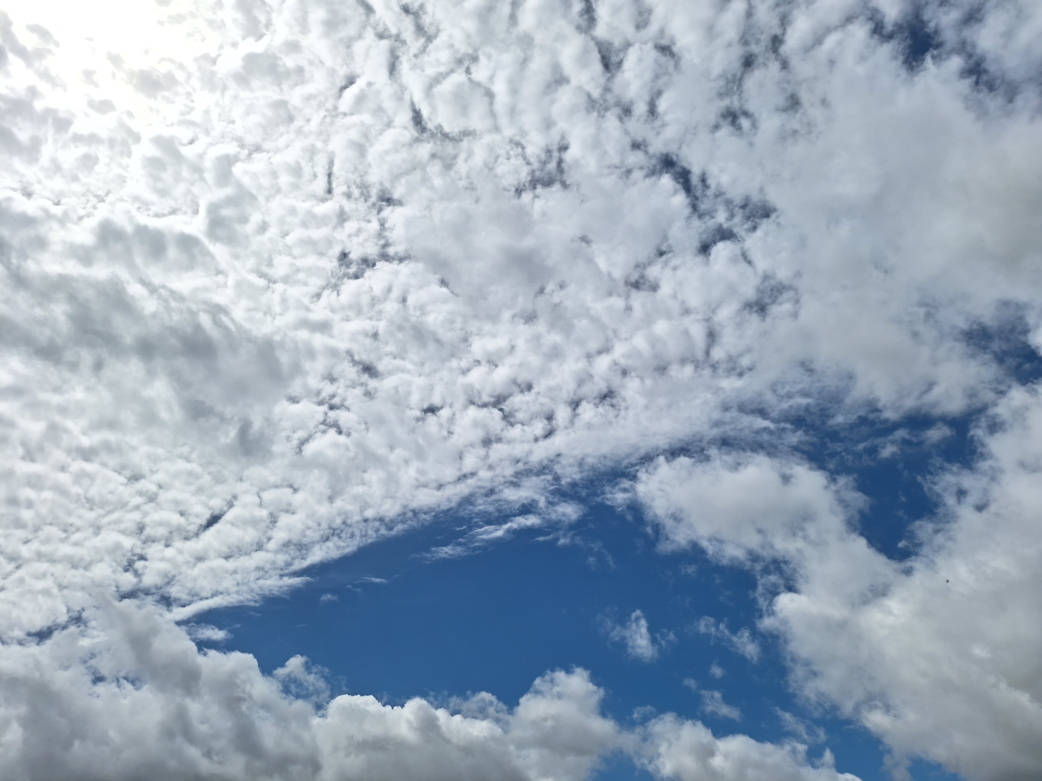 https://rehost.diberie.com/Picture/Get/f/273486