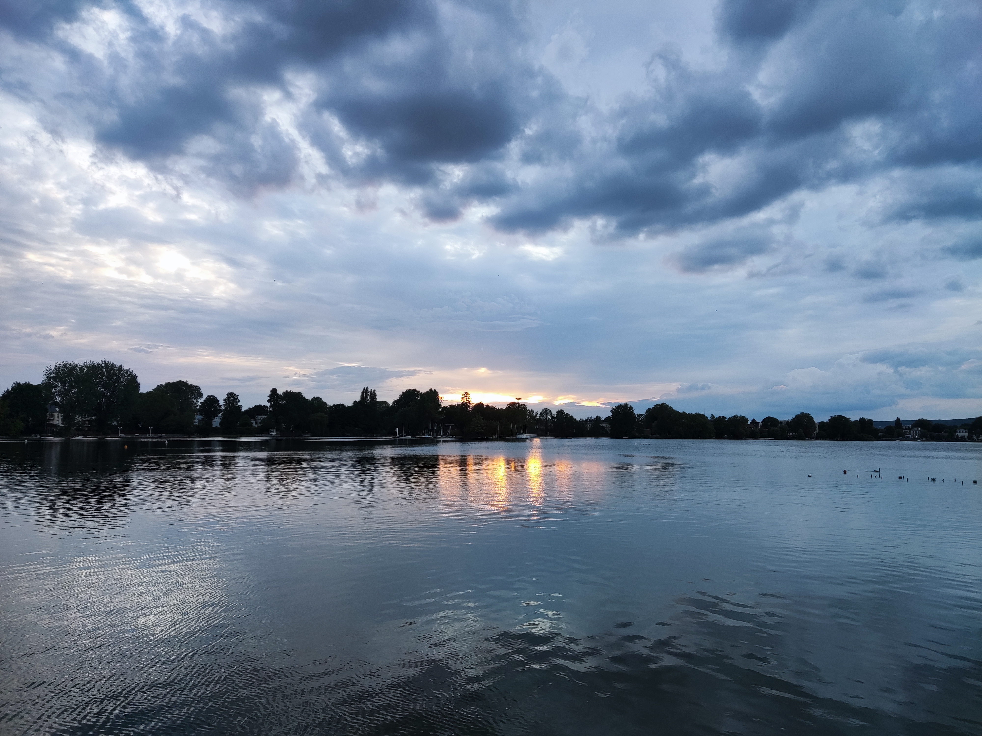 https://rehost.diberie.com/Picture/Get/f/278829