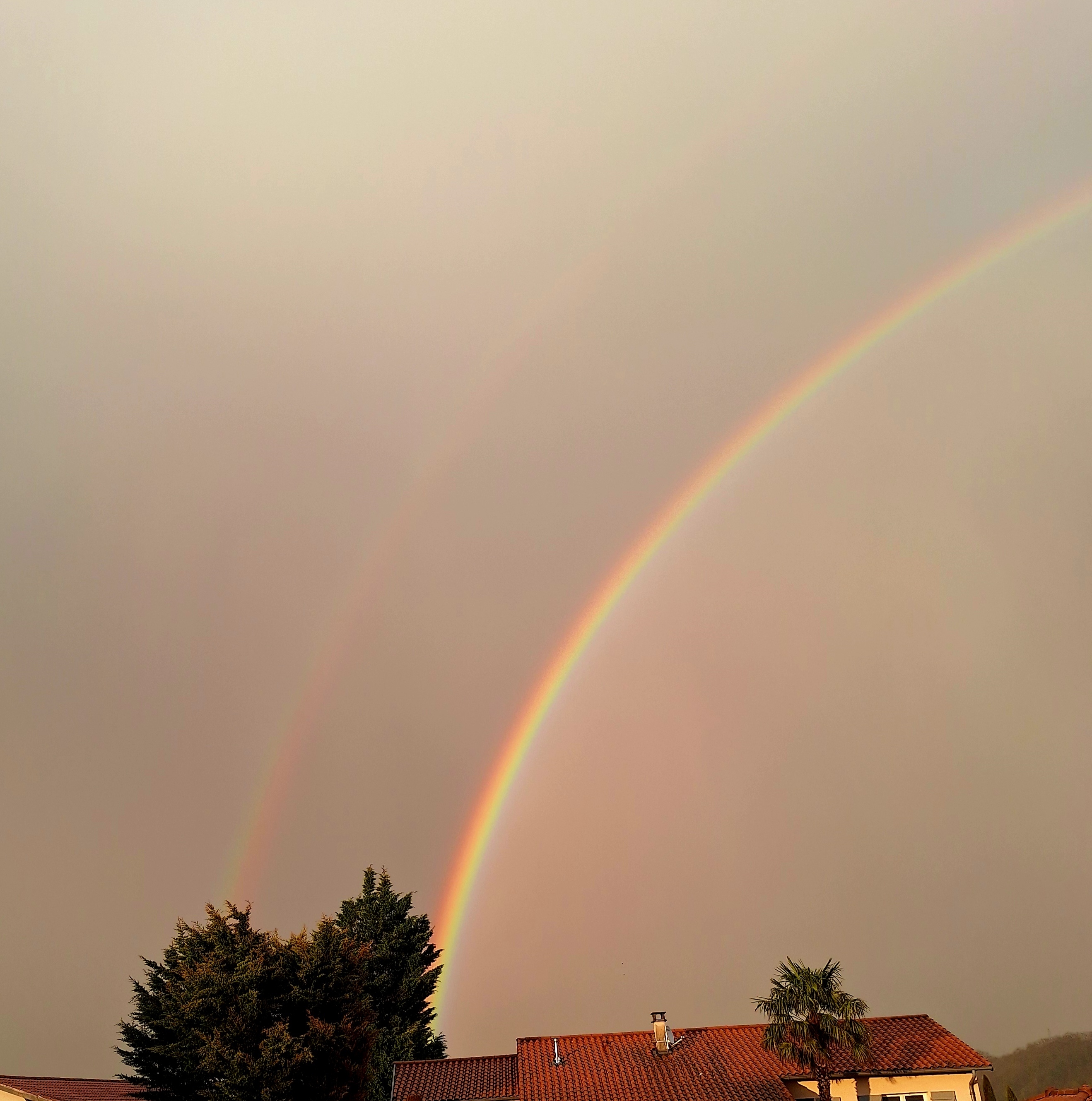 https://rehost.diberie.com/Picture/Get/f/377613