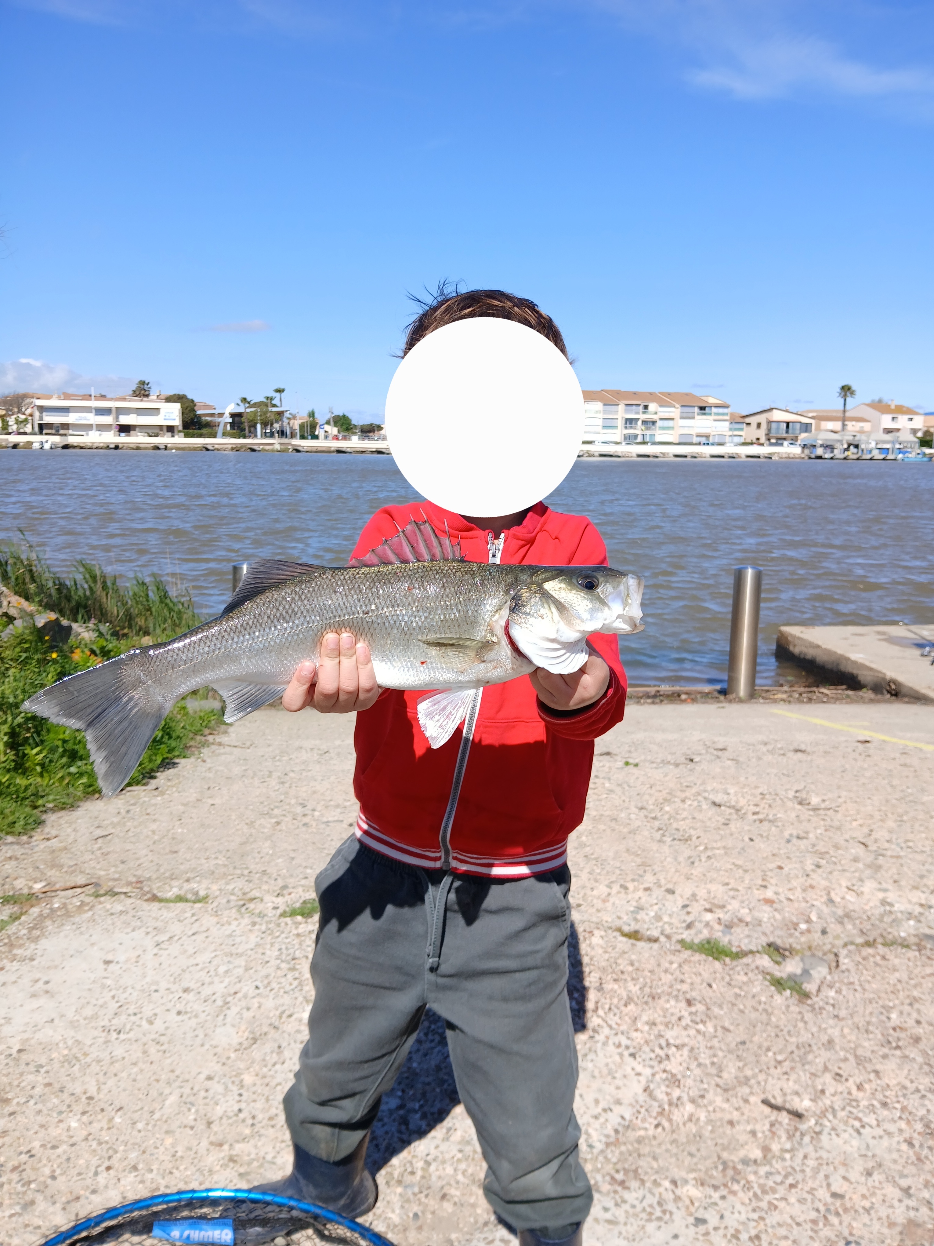https://rehost.diberie.com/Picture/Get/f/391006