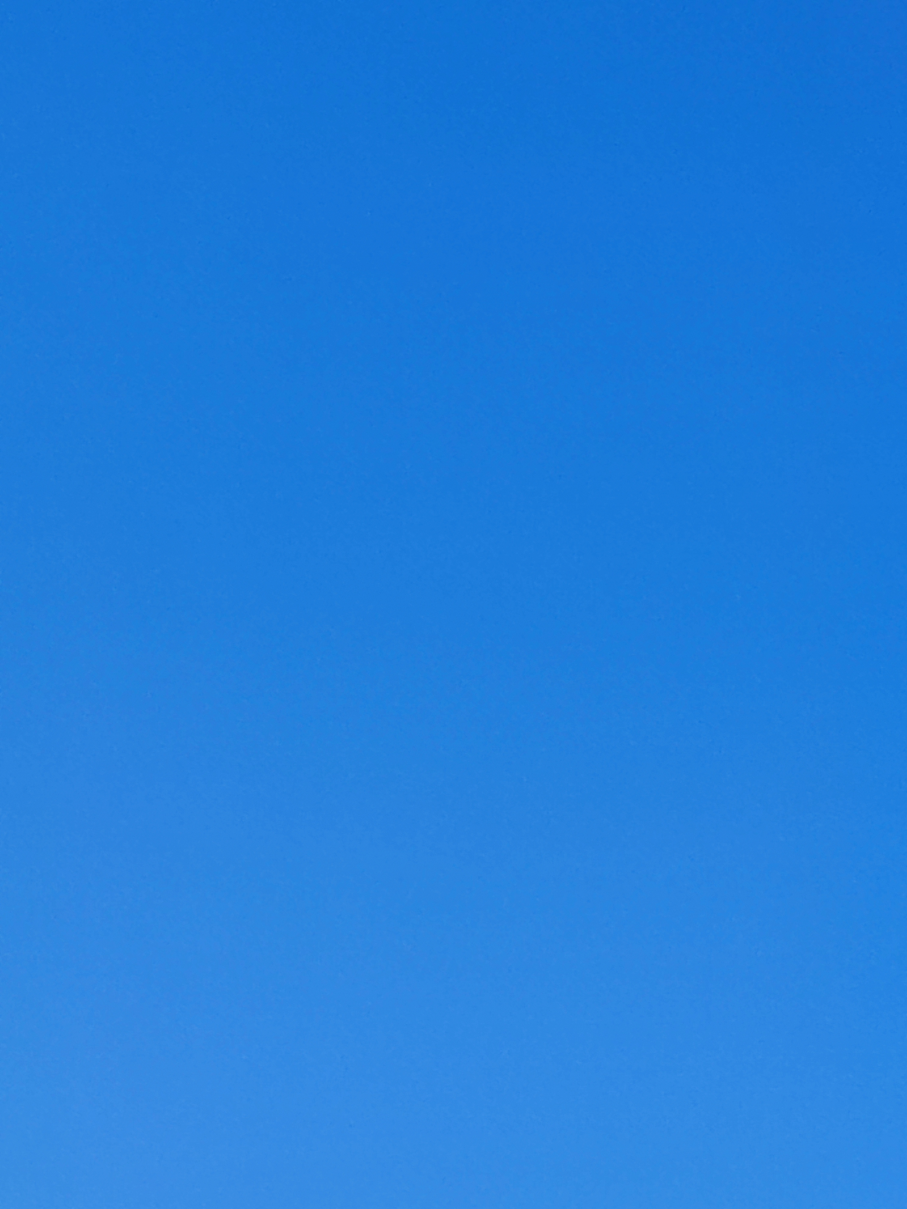 https://rehost.diberie.com/Picture/Get/f/391014