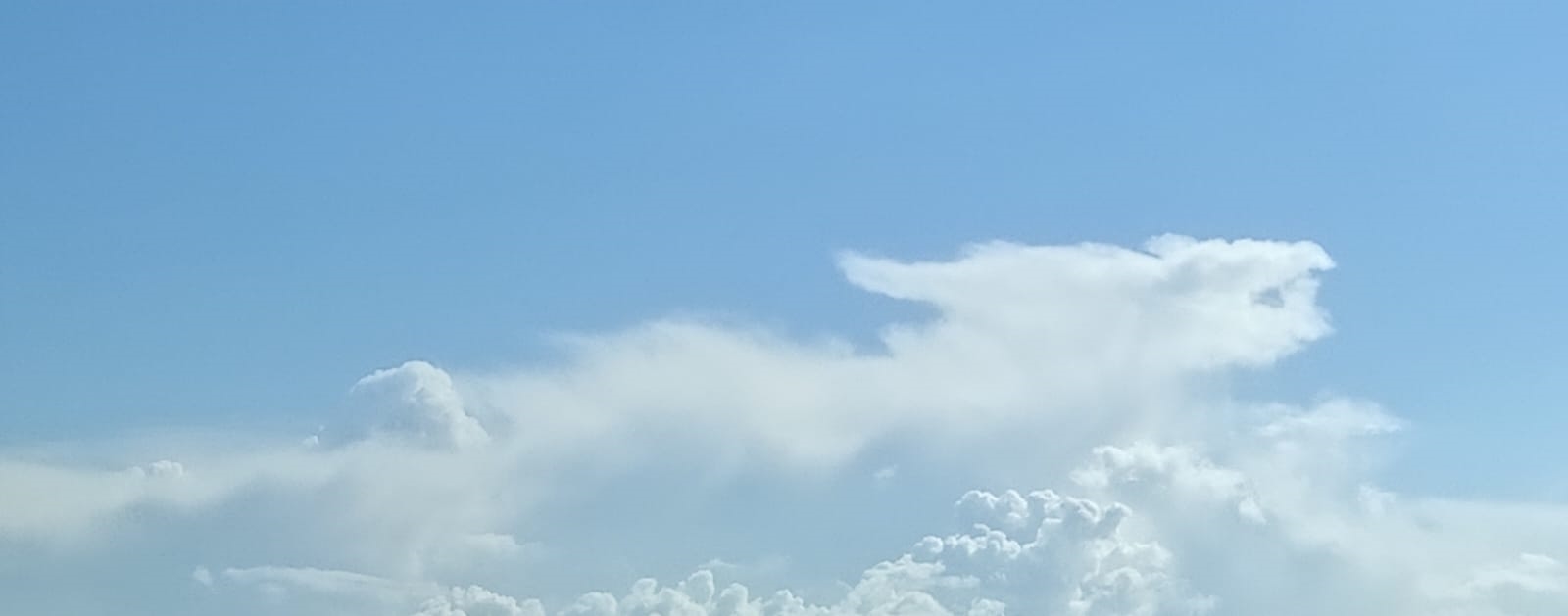 https://rehost.diberie.com/Picture/Get/f/391150