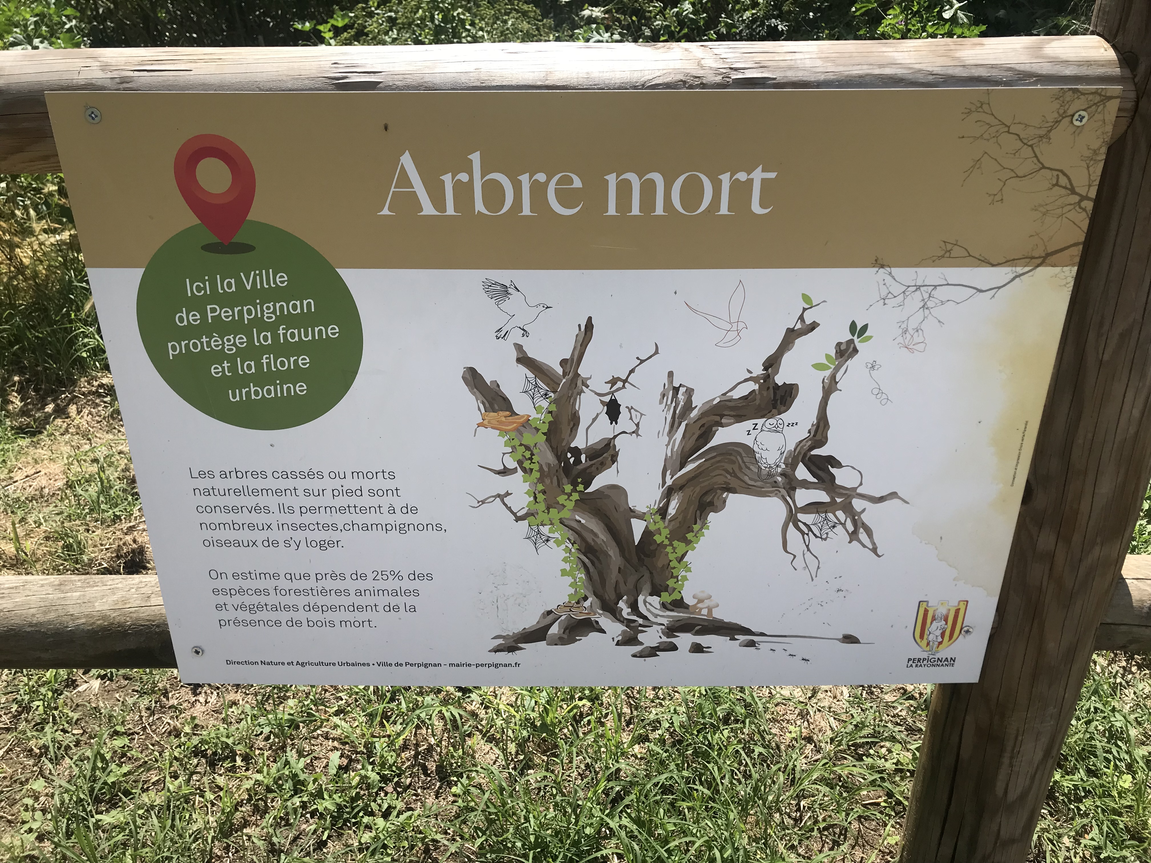 https://rehost.diberie.com/Picture/Get/f/393912