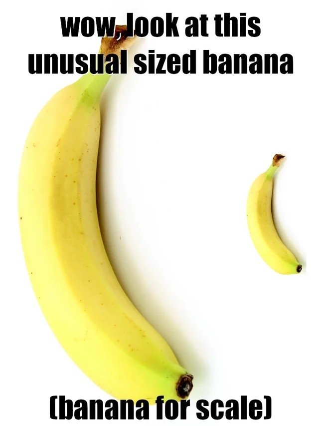https://rehost.diberie.com/Picture/Get/f/394303