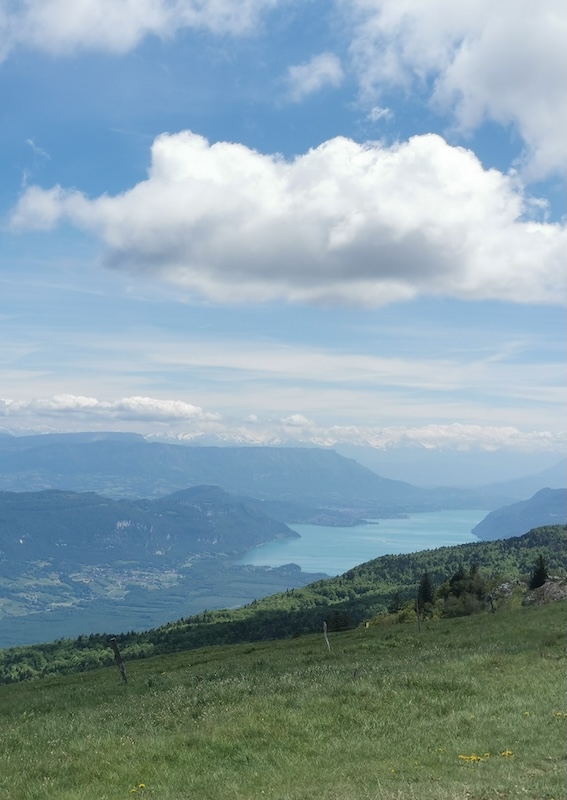 https://rehost.diberie.com/Picture/Get/f/397159