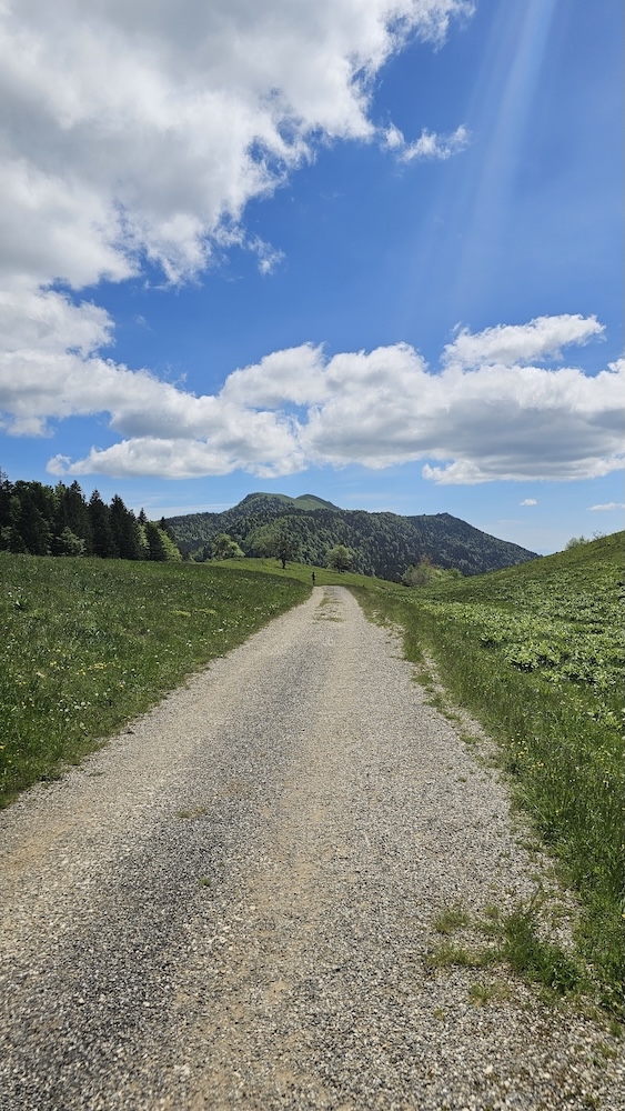 https://rehost.diberie.com/Picture/Get/f/397169