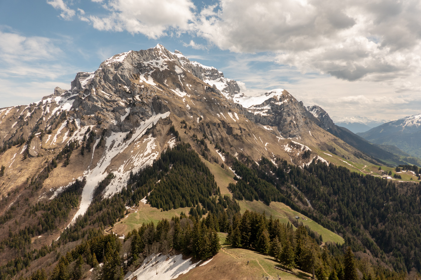 https://rehost.diberie.com/Picture/Get/f/40146