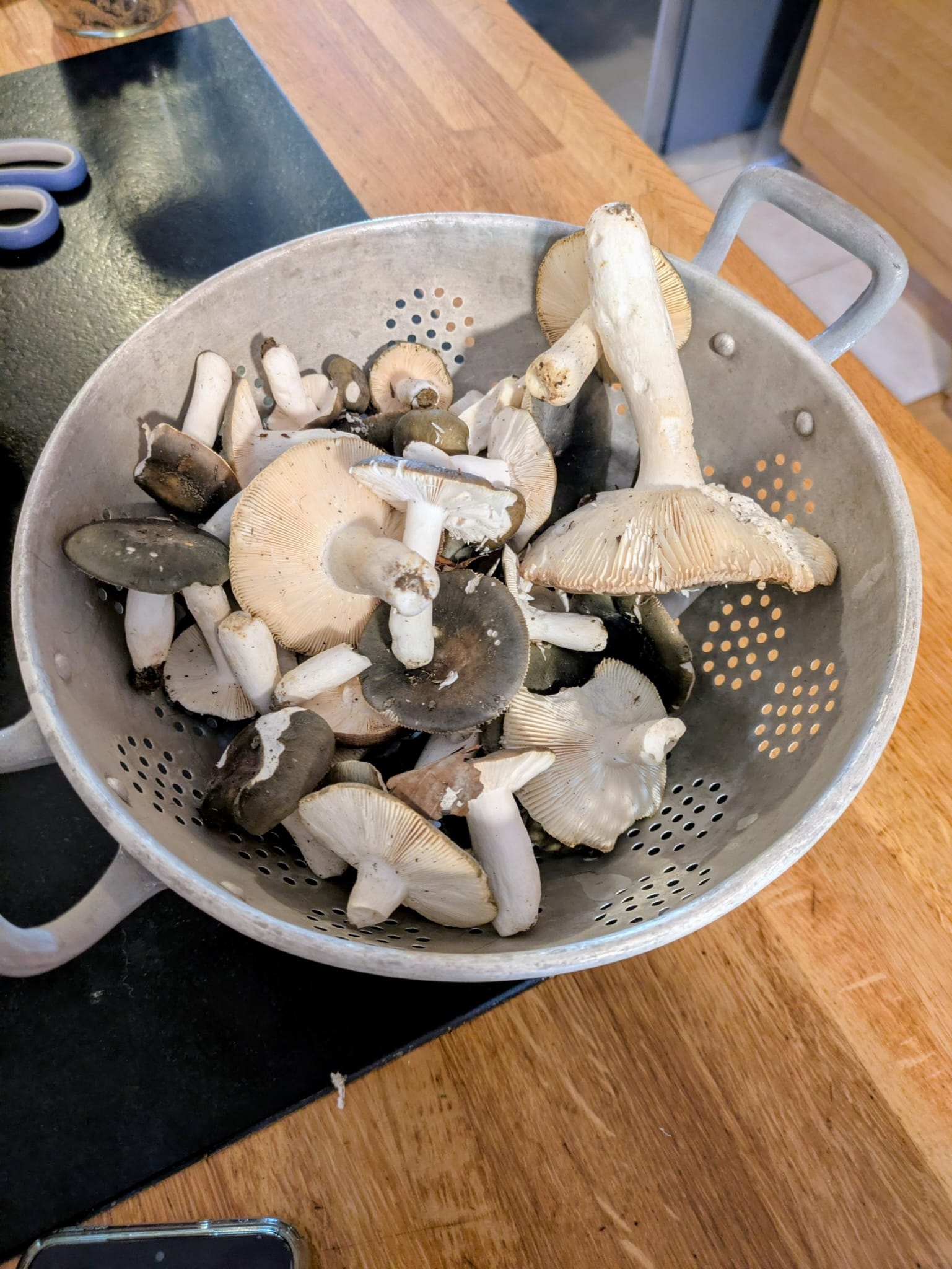 https://rehost.diberie.com/Picture/Get/f/422726