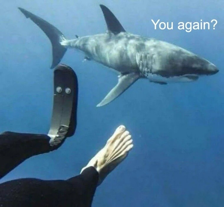 429298
