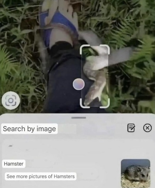 https://rehost.diberie.com/Picture/Get/f/429305