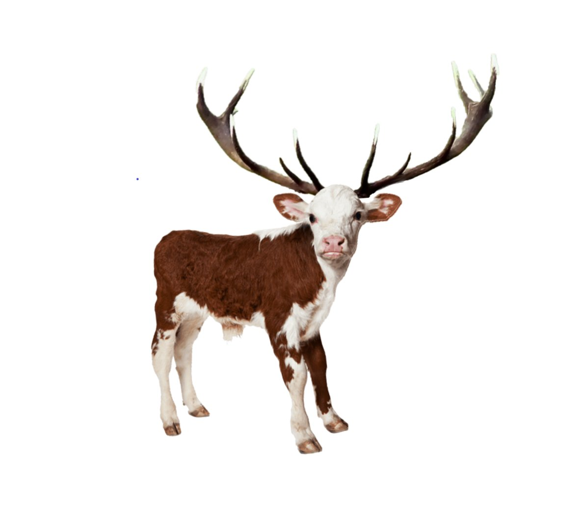 https://rehost.diberie.com/Picture/Get/f/46350