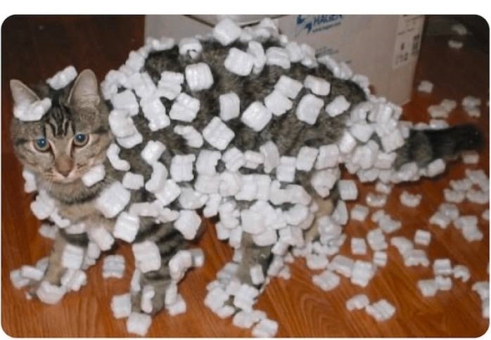 Image redimensionnée