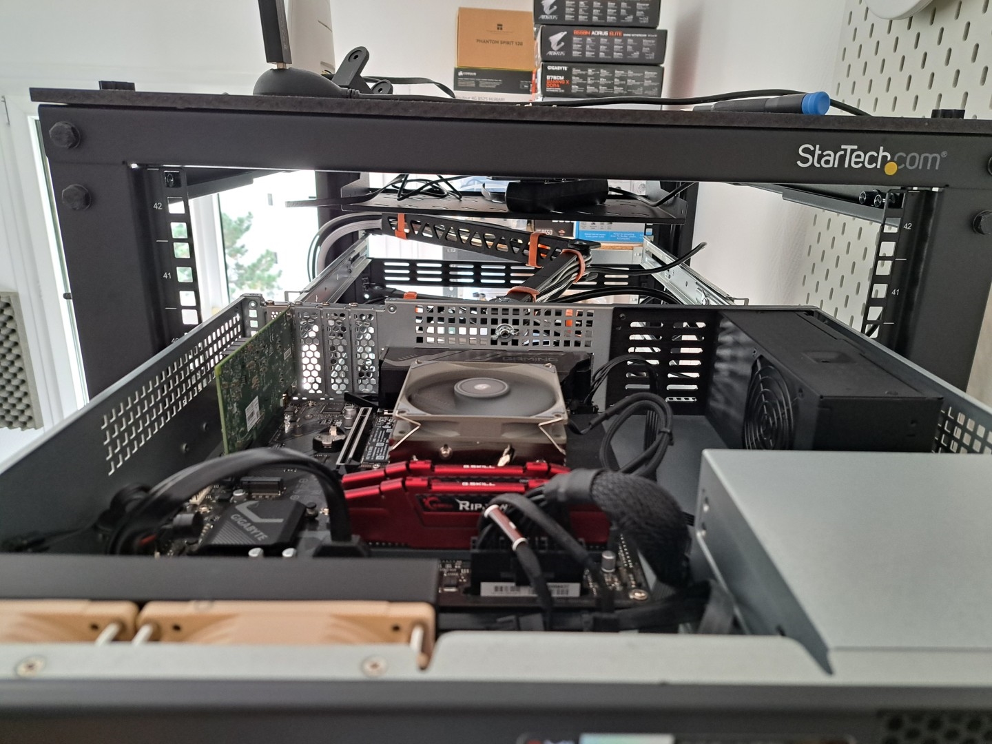 https://rehost.diberie.com/Picture/Get/f/495114