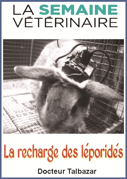https://rehost.diberie.com/Picture/Get/f/506588