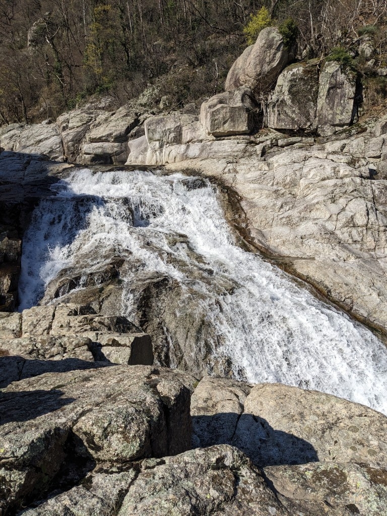 https://rehost.diberie.com/Picture/Get/f/506641