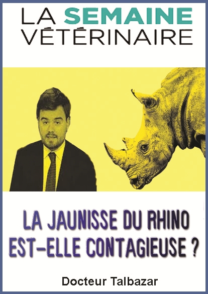 https://rehost.diberie.com/Picture/Get/f/507187
