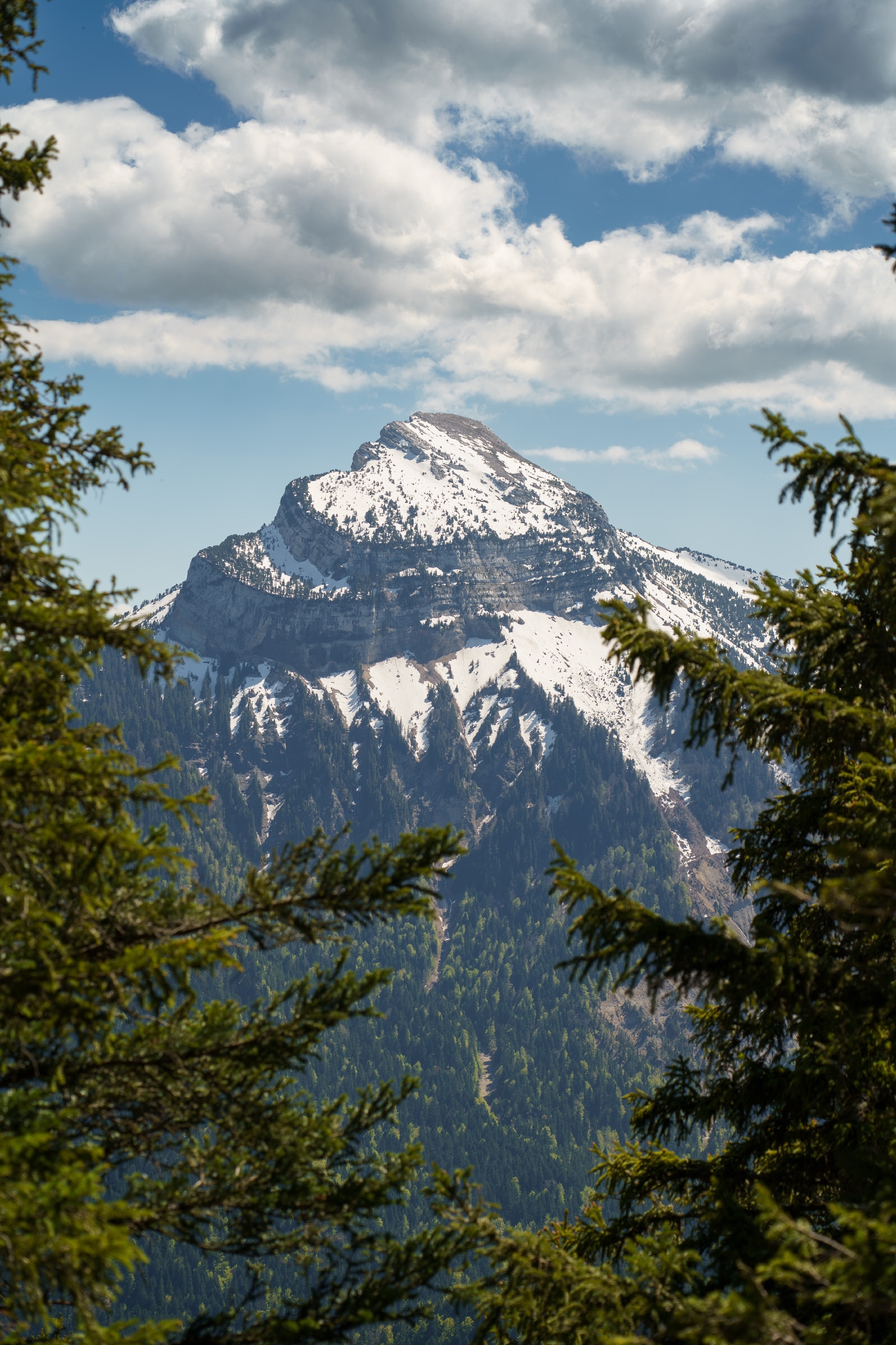 https://rehost.diberie.com/Picture/Get/f/509351