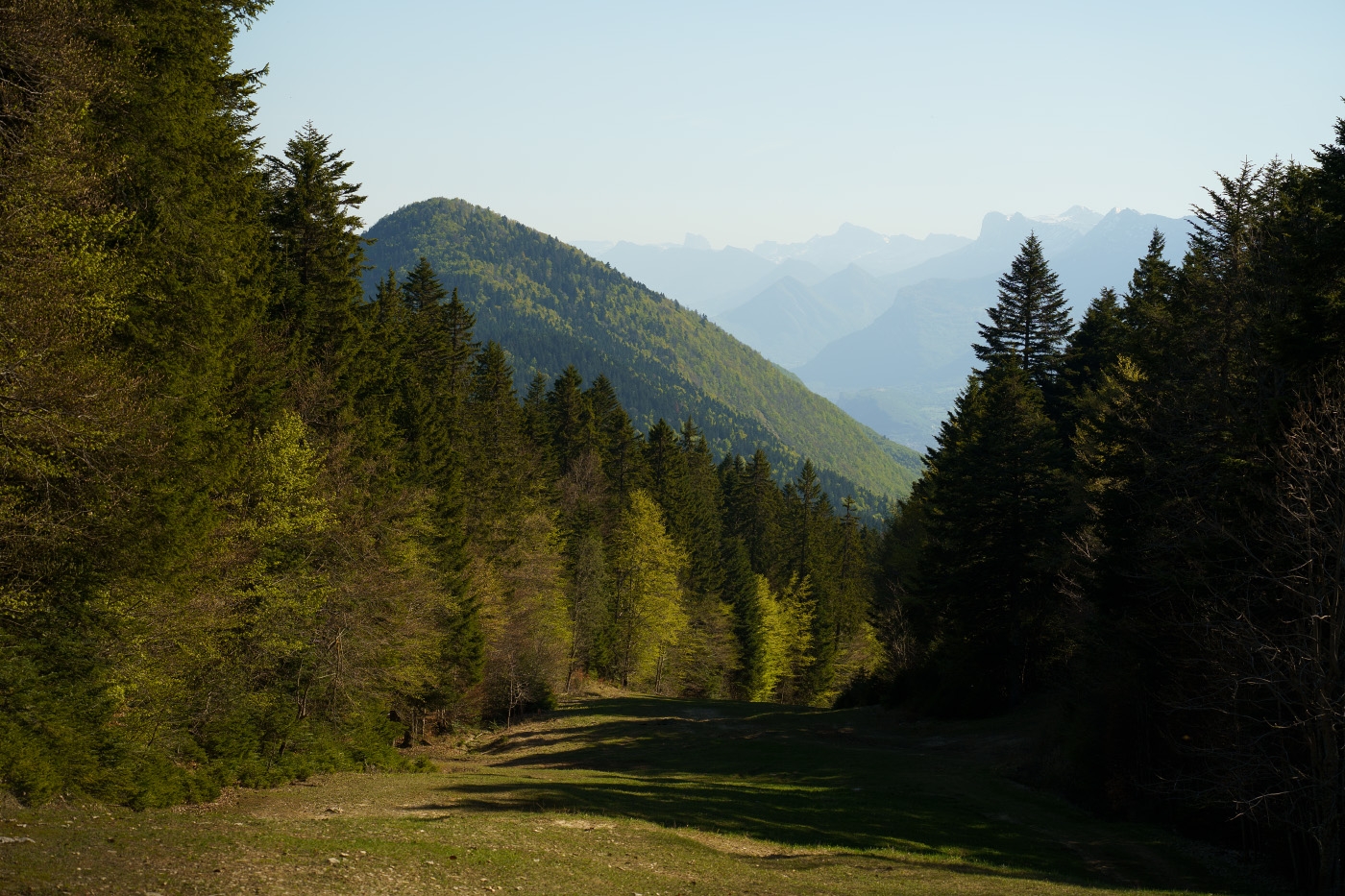 https://rehost.diberie.com/Picture/Get/f/509354