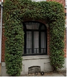 https://rehost.diberie.com/Picture/Get/f/511261