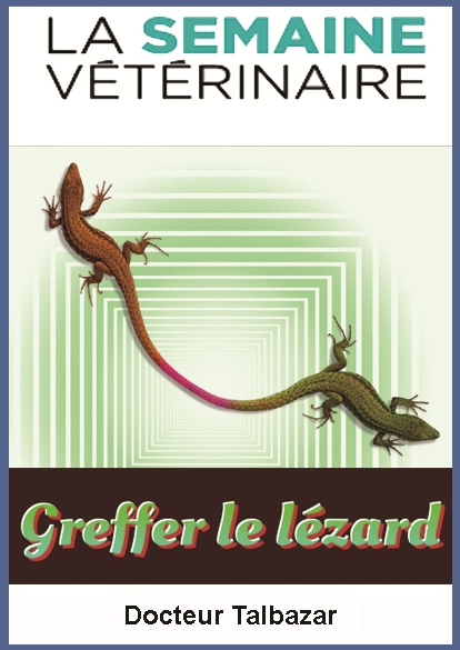 https://rehost.diberie.com/Picture/Get/f/514810