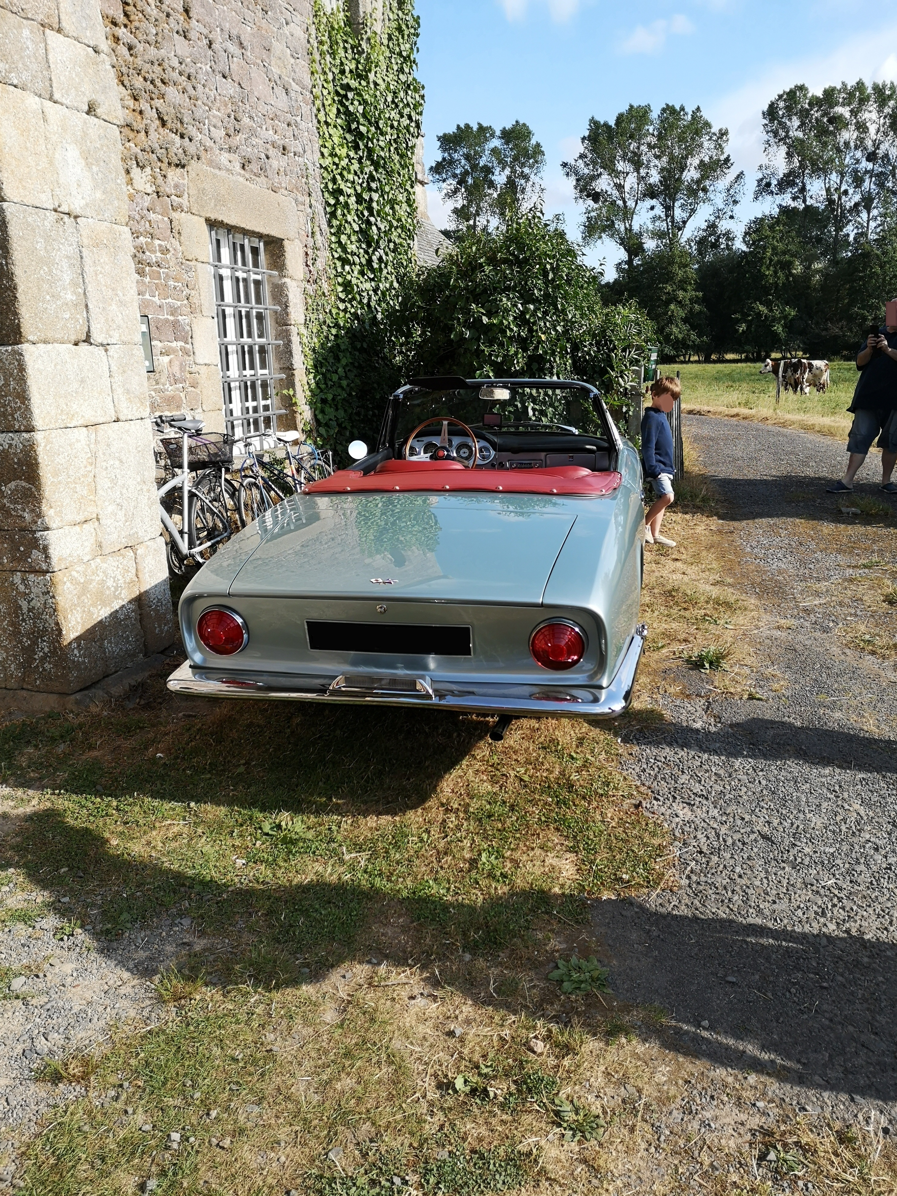 https://rehost.diberie.com/Picture/Get/f/515249