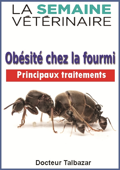 https://rehost.diberie.com/Picture/Get/f/515437