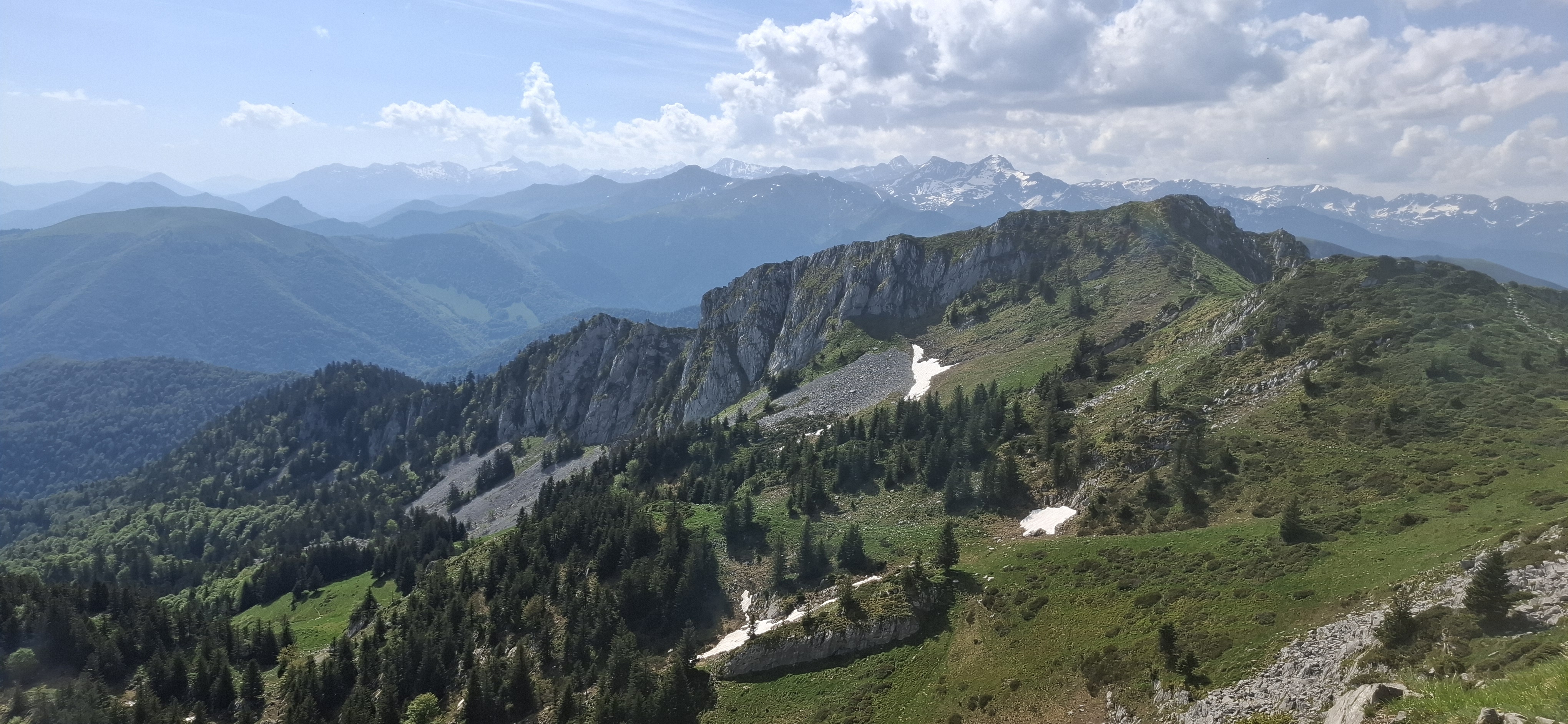 https://rehost.diberie.com/Picture/Get/f/516830