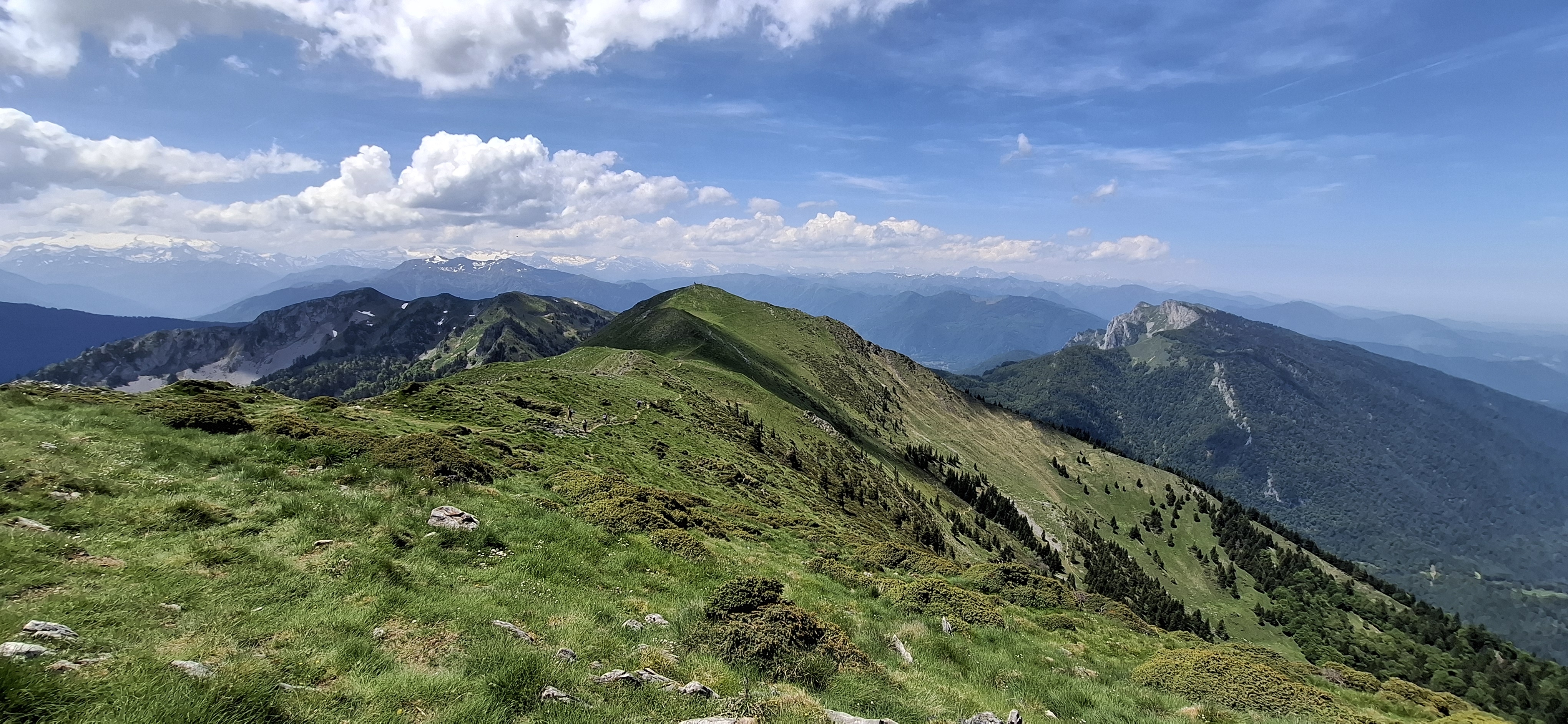 https://rehost.diberie.com/Picture/Get/f/516834