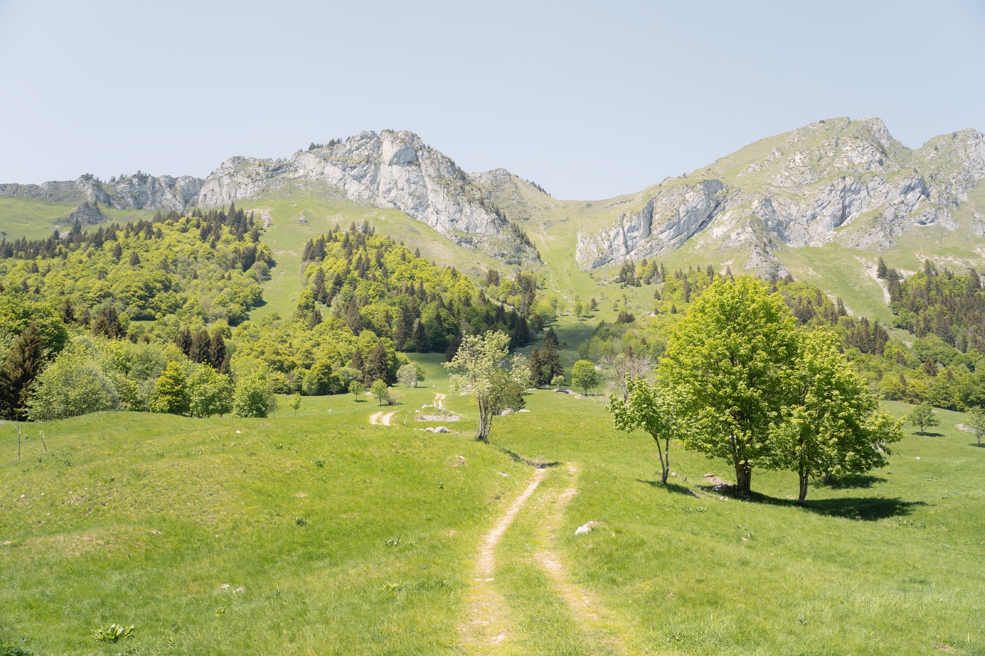 https://rehost.diberie.com/Picture/Get/f/516995