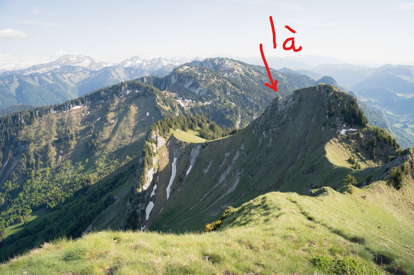 https://rehost.diberie.com/Picture/Get/f/517010