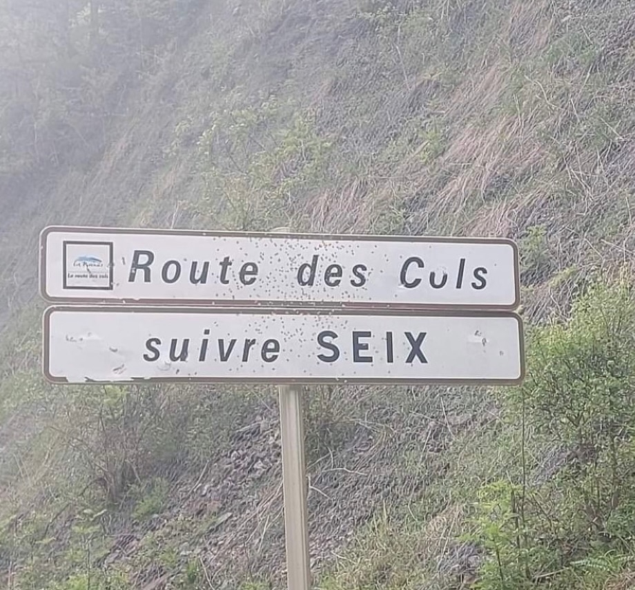 https://rehost.diberie.com/Picture/Get/f/517898