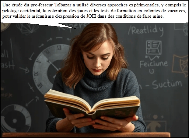https://rehost.diberie.com/Picture/Get/f/518381