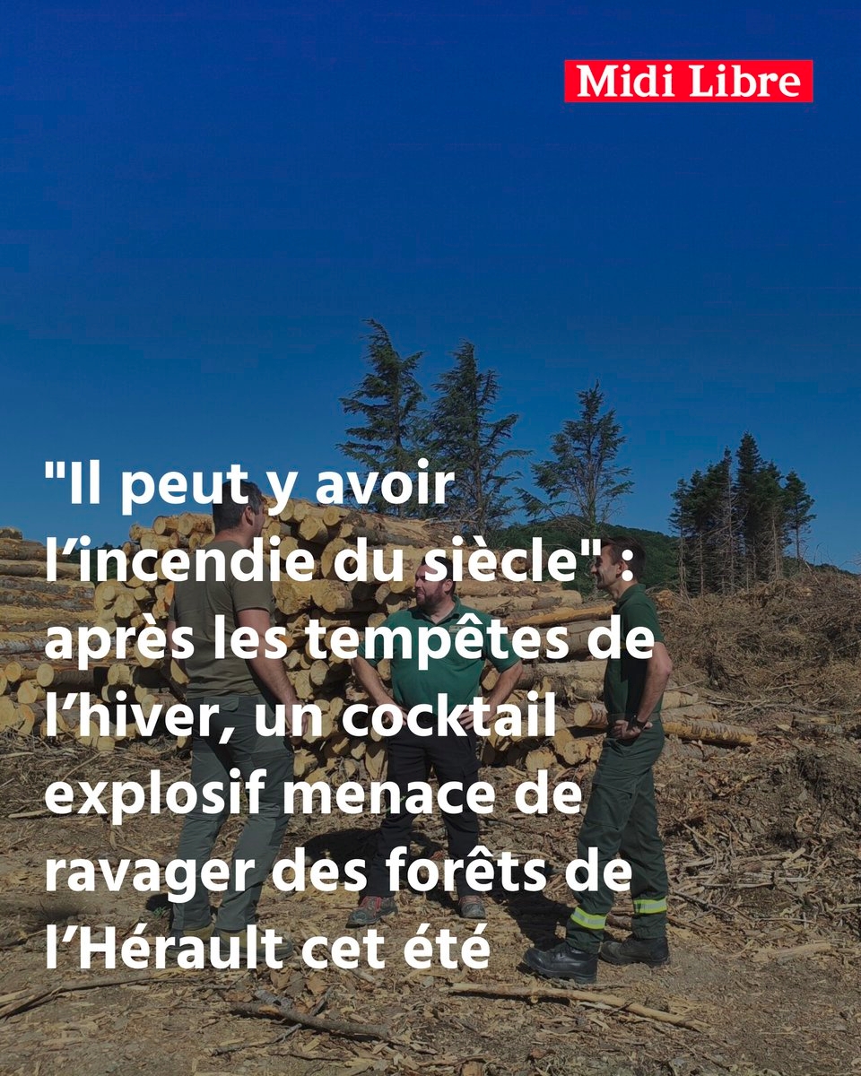 https://rehost.diberie.com/Picture/Get/f/521740