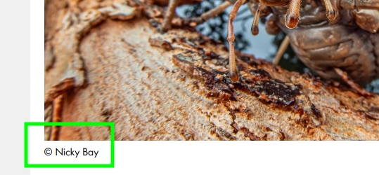 https://rehost.diberie.com/Picture/Get/f/526049