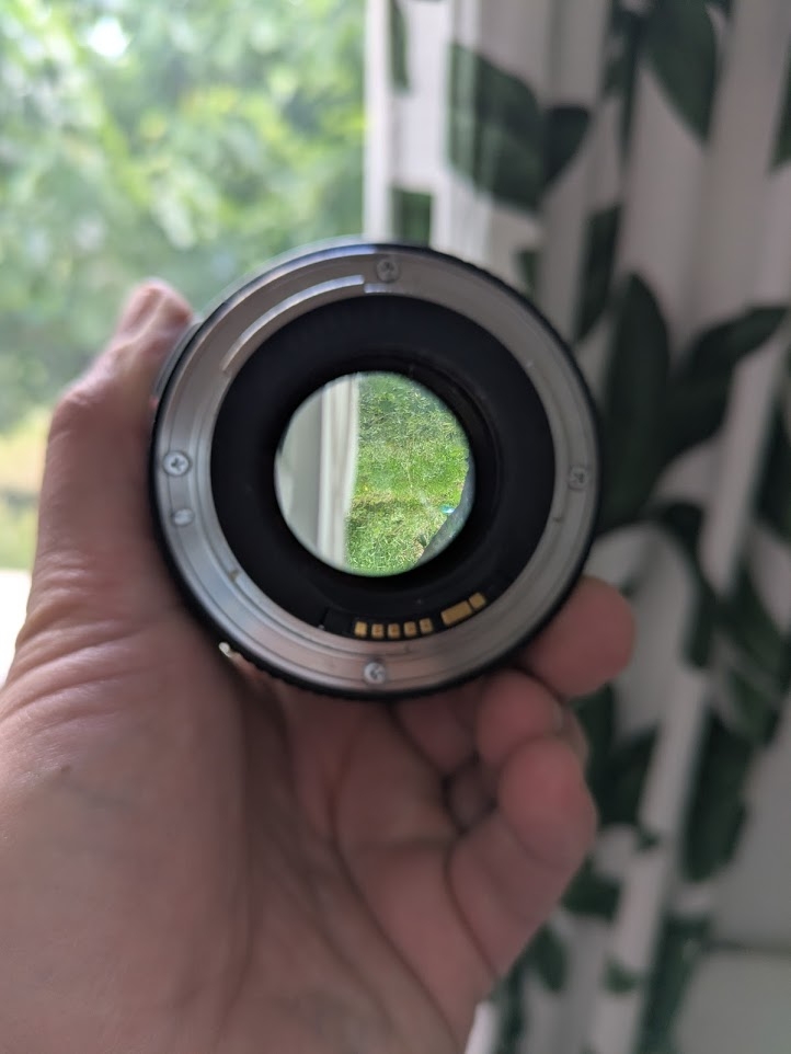 https://rehost.diberie.com/Picture/Get/f/526377