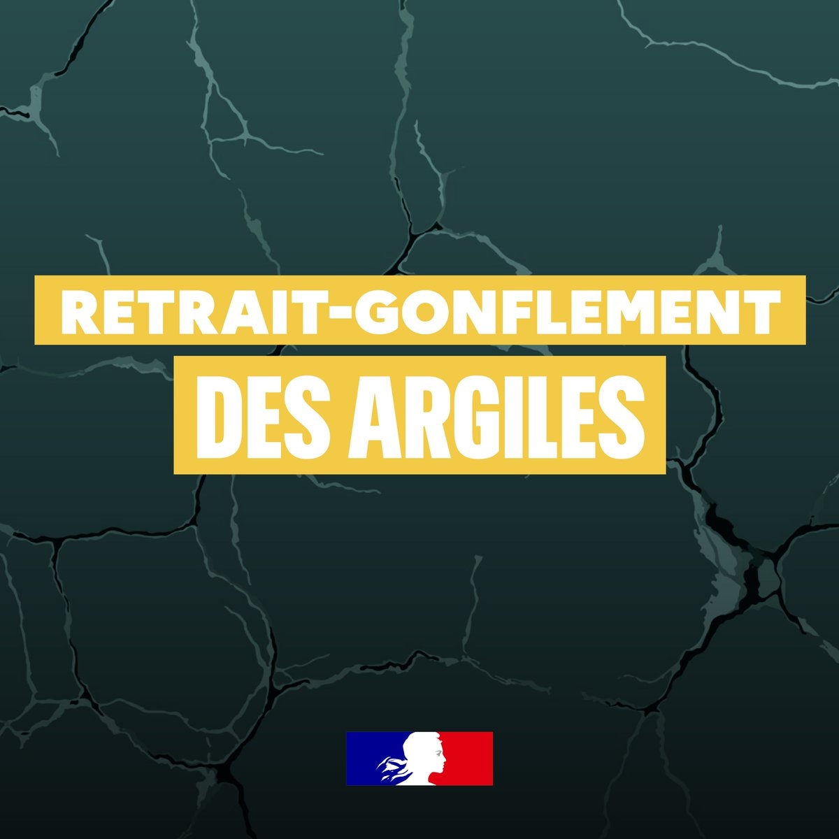 https://rehost.diberie.com/Picture/Get/f/530697