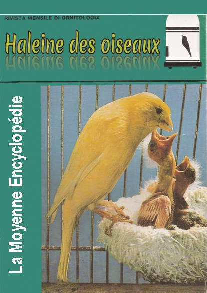 https://rehost.diberie.com/Picture/Get/f/531164