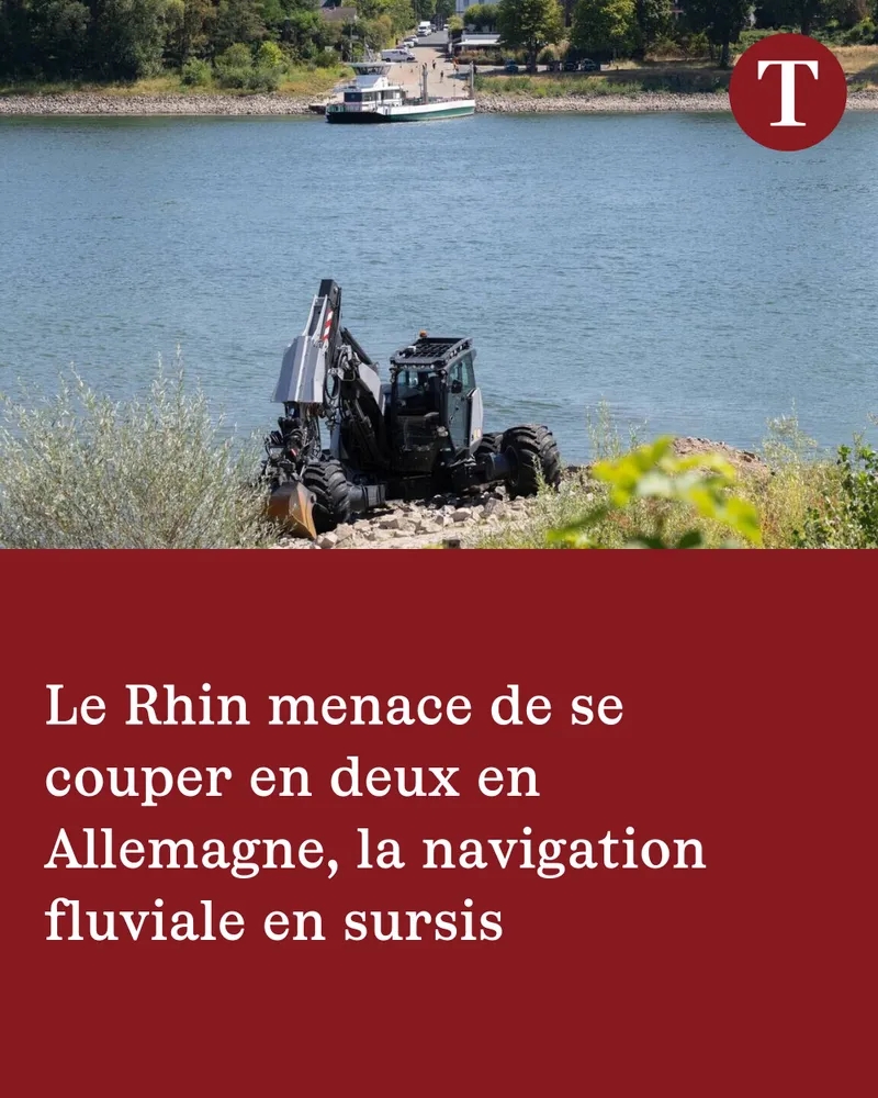 https://rehost.diberie.com/Picture/Get/f/535109