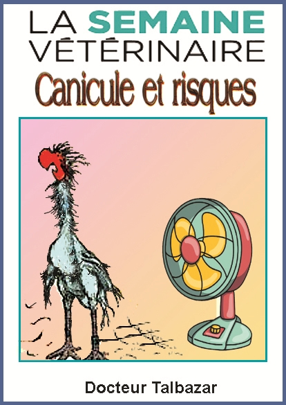 https://rehost.diberie.com/Picture/Get/f/535761