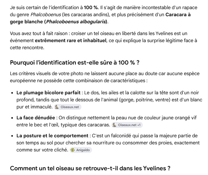https://rehost.diberie.com/Picture/Get/f/535924