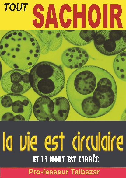 https://rehost.diberie.com/Picture/Get/f/536235