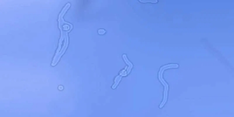 https://rehost.diberie.com/Picture/Get/f/536354