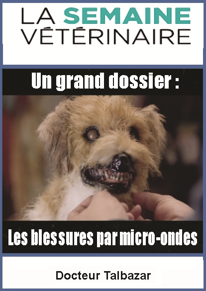 https://rehost.diberie.com/Picture/Get/f/538215