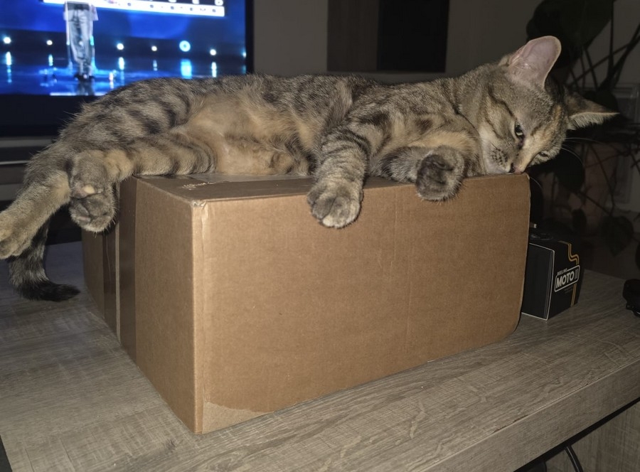 https://rehost.diberie.com/Picture/Get/f/540410