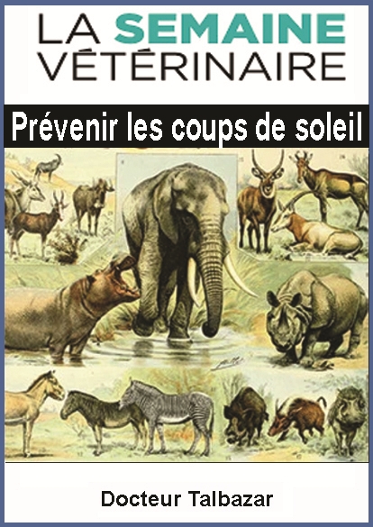 https://rehost.diberie.com/Picture/Get/f/545434