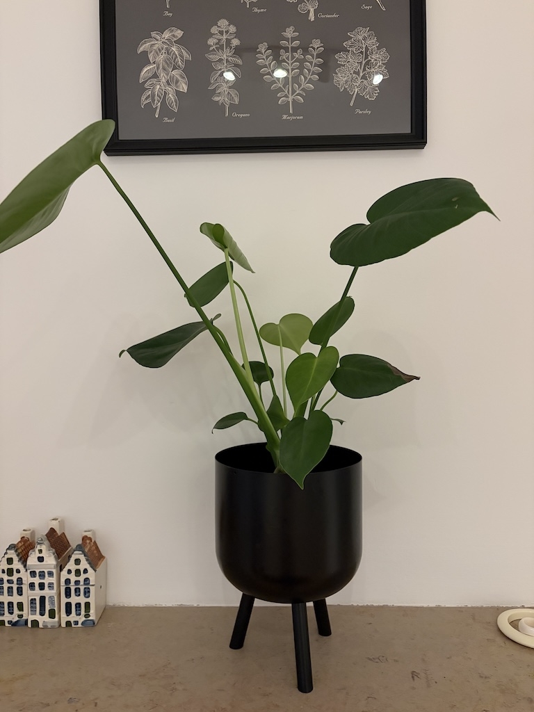 https://rehost.diberie.com/Picture/Get/f/547621
